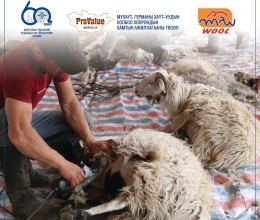 The Mongolian National Chamber of Commerce and Industry and the Mongolian Wool Producers Association developed policy paper on sheep wool sector in the context of the ProValue project
